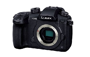 Panasonic DC-GH5